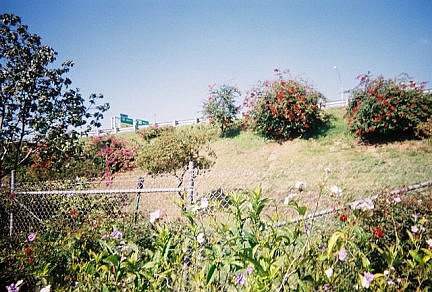slides\slope1.jpg